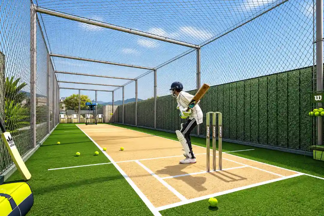 Cricket Court